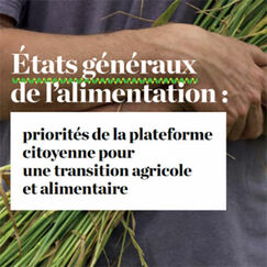 Etats généraux de l’alimentation Après les discussions, place à l’action Etats généraux de l’alimentation Après les discussions, place à l’action