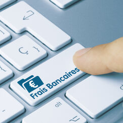 Frais d’incidents bancaires Au-delà de l’urgence sociale, une réforme du modèle économique de la banque de détail est indispensable ! Frais d’incidents bancaires Au-delà de l’urgence sociale, une réforme du modèle économique de la banque de détail est indispensable !