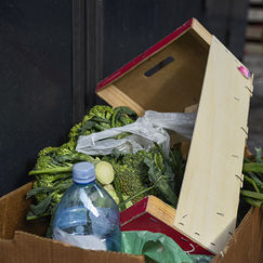 Gaspillage alimentaire Reste à appliquer la loi Gaspillage alimentaire Reste à appliquer la loi