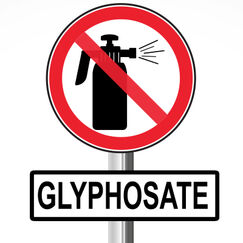 Glyphosate Union des ONG pour le respect de la parole donnée Glyphosate Union des ONG pour le respect de la parole donnée