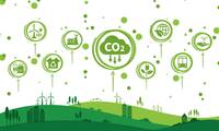 Consommation et environnement Comment réduire notre impact pas à pas