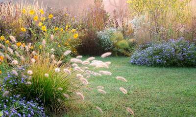 Jardin écoresponsable Bien connaître les caractéristiques de son jardin