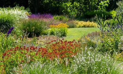 Jardin écoresponsable Cap sur la biodiversité