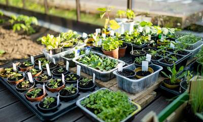 Jardin écoresponsable Halte aux matières non durables