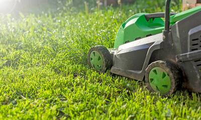 Jardin écoresponsable Tondez moins, mais mieux