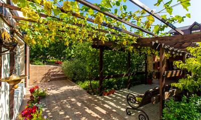 Jardin écoresponsable Une climatisation verte