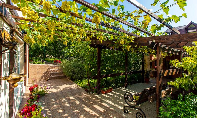Jardin écoresponsable Une climatisation verte Jardin écoresponsable Une climatisation verte