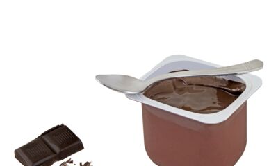 Desserts végétaux La crème du rayon frais ?