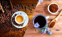 Café ou chicorée Laquelle de ces boissons a le plus faible impact carbone ?