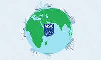 Pêche durable Peut-on se fier au label MSC ?