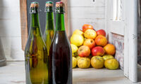 Cidre Doux, demi-sec, brut… Comment choisir un cidre