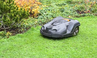 Tondeuse robot Choisir une tondeuse robot pour l’entretien de sa pelouse Tondeuse robot Choisir une tondeuse robot pour l’entretien de sa pelouse